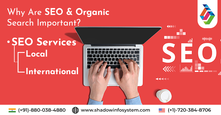 Top SEO Company in Noida