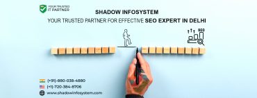 SEO expert in Delhi
