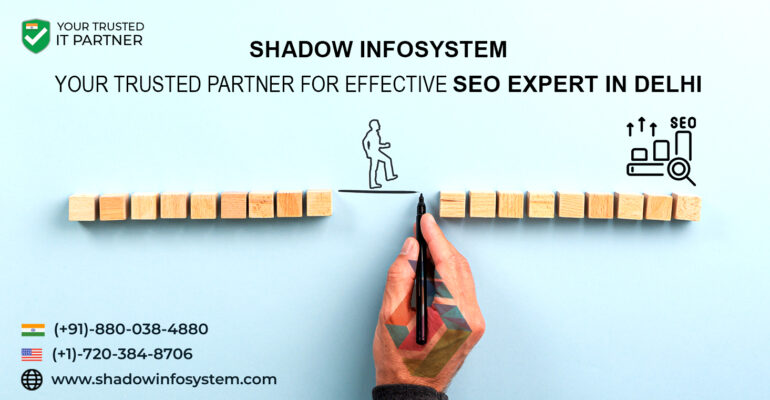SEO expert in Delhi